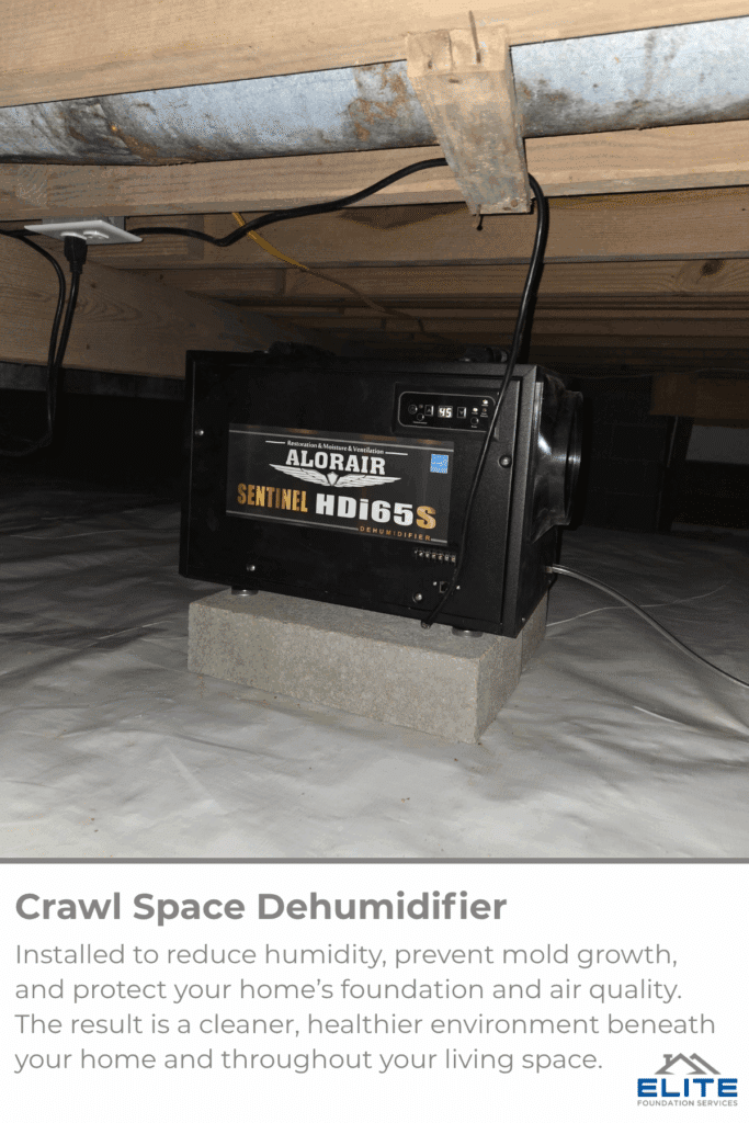 Crawl Space Dehumidifier Raleigh NC