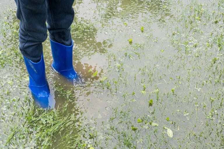Spring Rains Foundation Checks